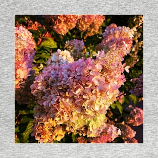 Pink Hydrangea T-Shirt